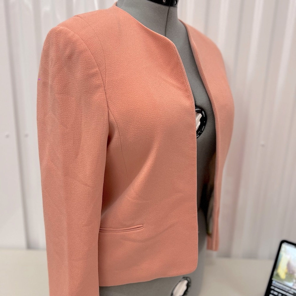 Blazer Aritzia/Wilfred